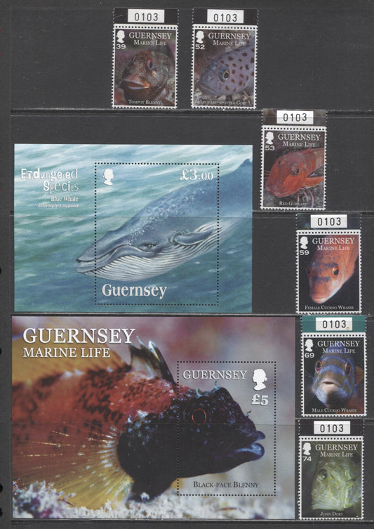 Lot 30 Guernsey SC#1124/1200 2011-2013 Endangered Species - Fish Issues, 7 VFNH Singles & Souvenir Sheet, Click on Listing to See ALL Pictures, 2017 Scott Cat. $33.35