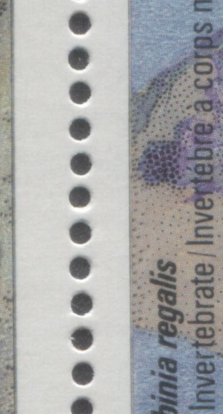 Canada #1282avar 39c Multicoloured Various Fossils, 1990 Prehistoric Life Issue, A VFNH Block of 4 DF2 Harrison Paper Showing Doubling Of Outer Framelines Due To Rightward Shift Of Lithography