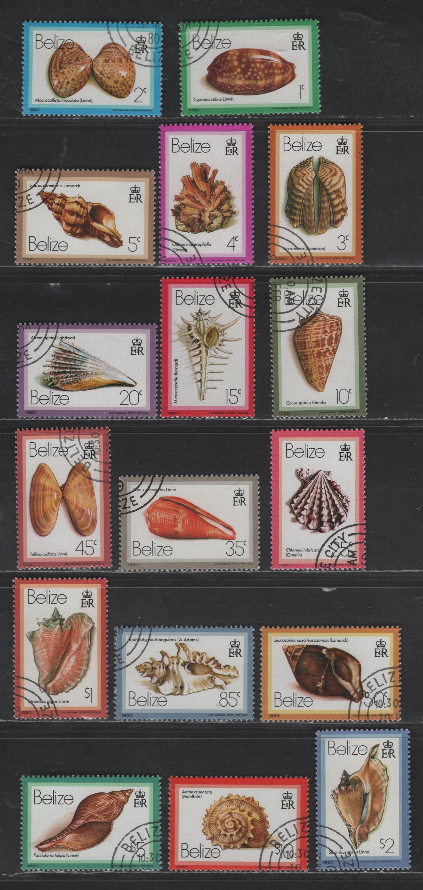Belize SC#471/487 1980 Shells Issue, All CTO, 17 Very Fine Used Singles, Click on Listing to See ALL Pictures, 2017 Scott Cat. $4.5