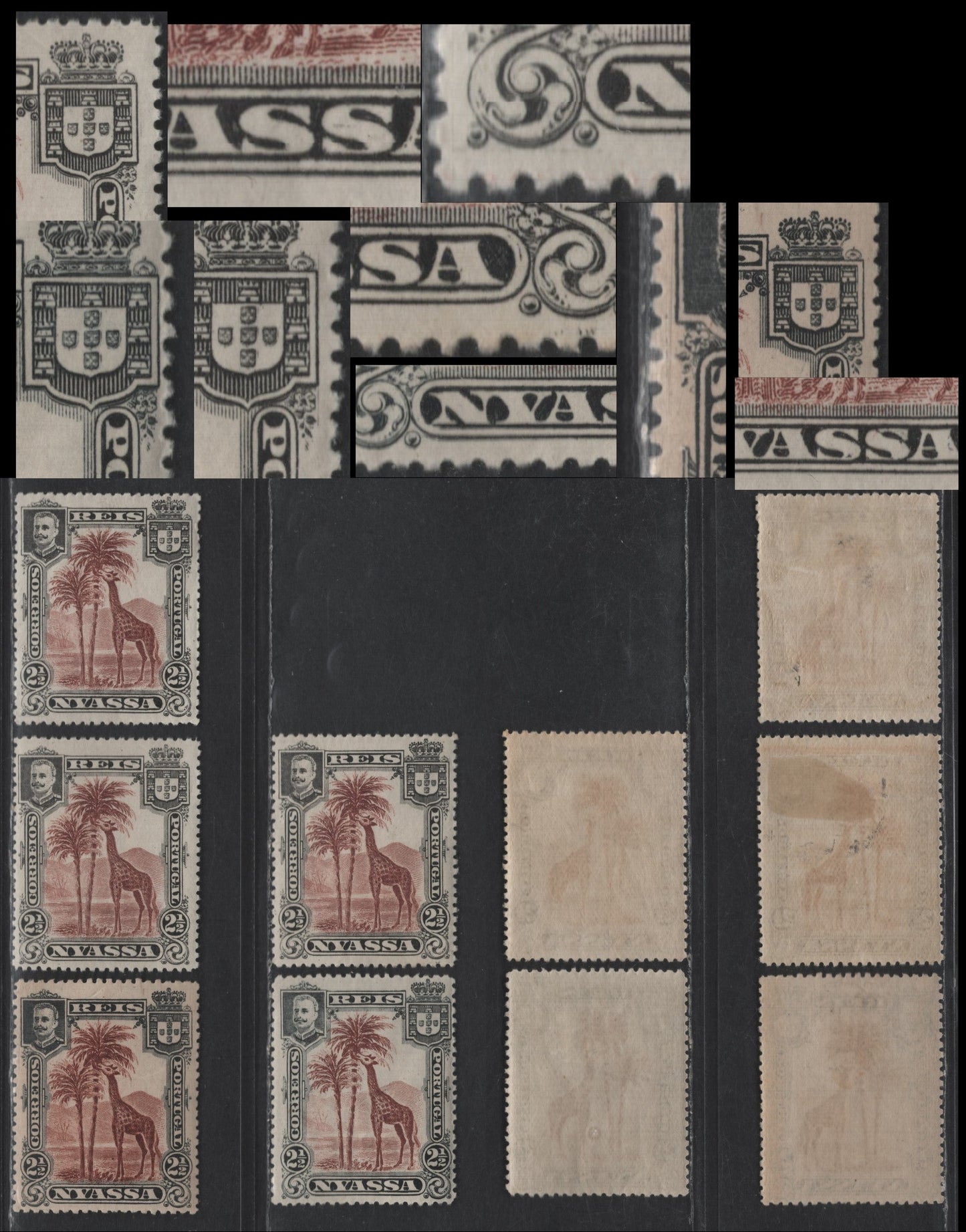Lot 182 Nyassa SC#26 & 26var 2.5r Red Brown & Black Giraffe, 1901 Pictorial Issue, 5 F/VFOG Singles, Minor Re-Entries, Showing Doubling In Highlighted Areas, Perf 14