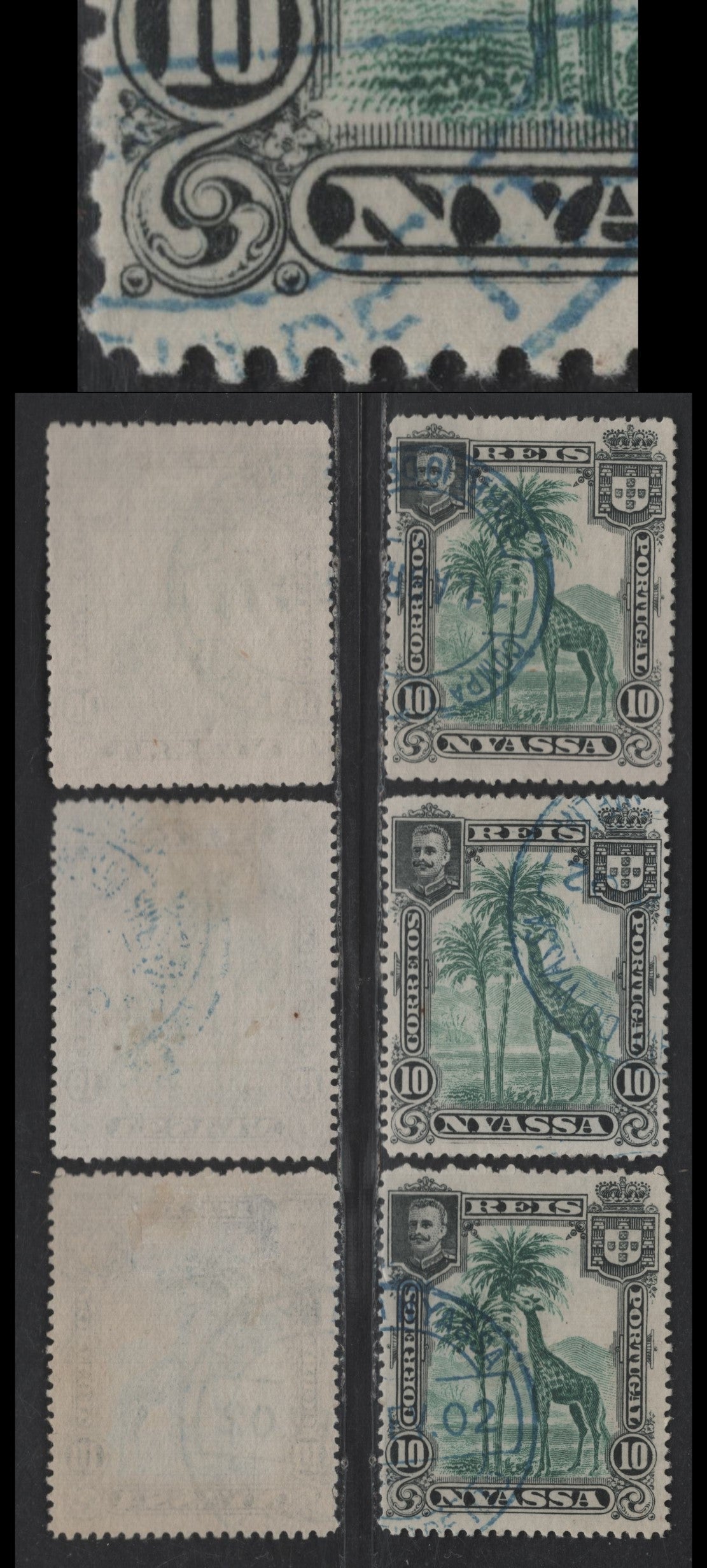 Nyassa SC#28var 10r Green & Black Giraffe, 1901 Pictorial Issue, 3 Very Fine Used Singles, Perfs 13.5 & 14.5 Instead Of More Common Perf 14, One Perf 14.5 Showing Minor Doubling Under Nyassaland