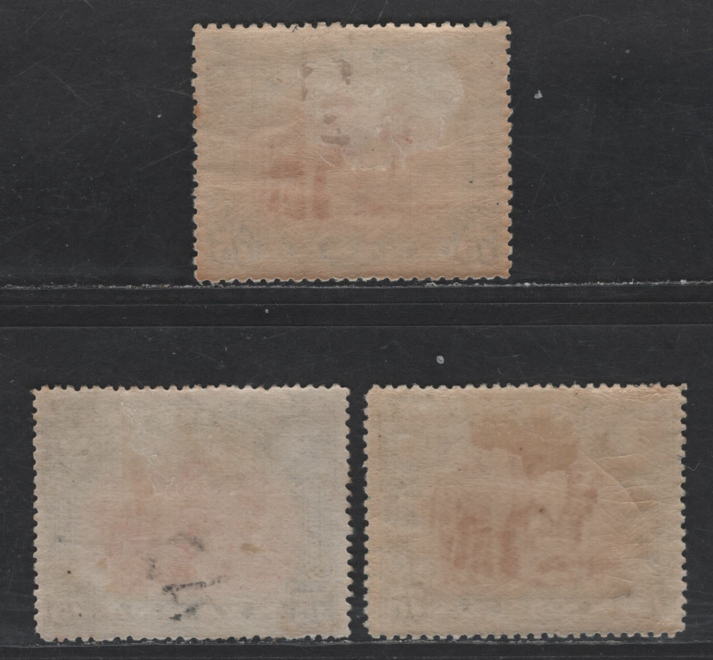 Lot 220 Nyassa SC#33 75r Black & Carmine Lake Camel, 1901 Pictorial Issue, 3 VFOG Singles, Perfs 13.75, 15 & 14.5