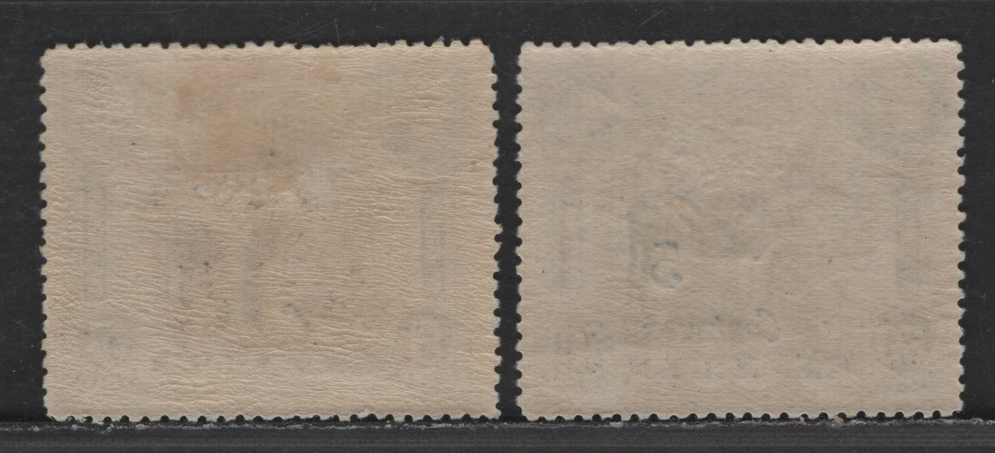 Nyassa SC#95, 101 1/2c on 5r - 5c on 50r Black - Black & Blue Camels, 1921 London Surcharged Pictorial Issue, 2 VFOG Singles, Perf 14