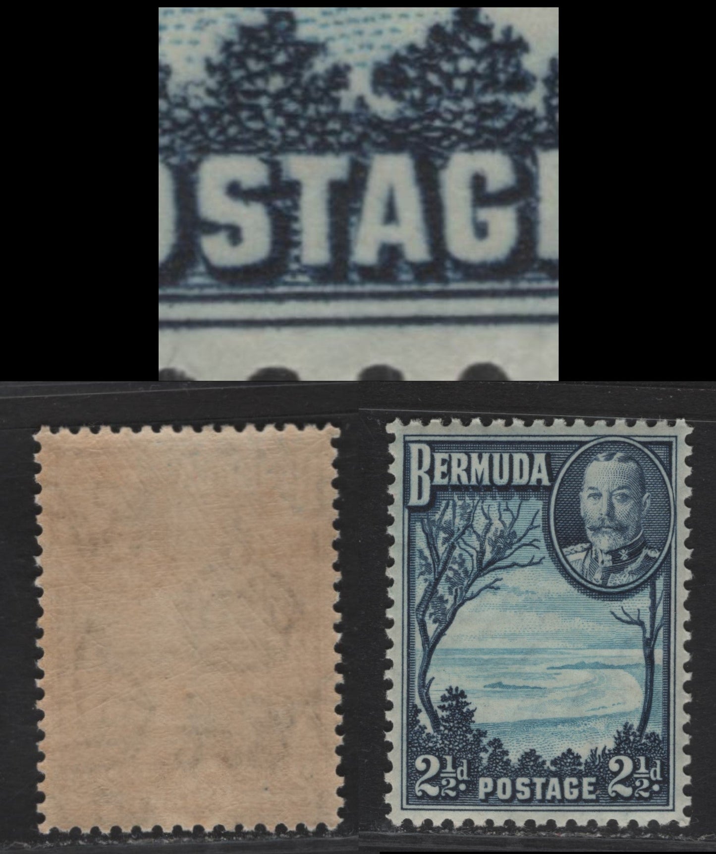 Lot 84 Bermuda SG#102var 2.5d - 3d Pale Blue & Deep Gray Blue Grape Bay, 1936-1947 KGV Pictorial Issue, A VFNH Single, Showing Split 'T' in Postage, Unlisted