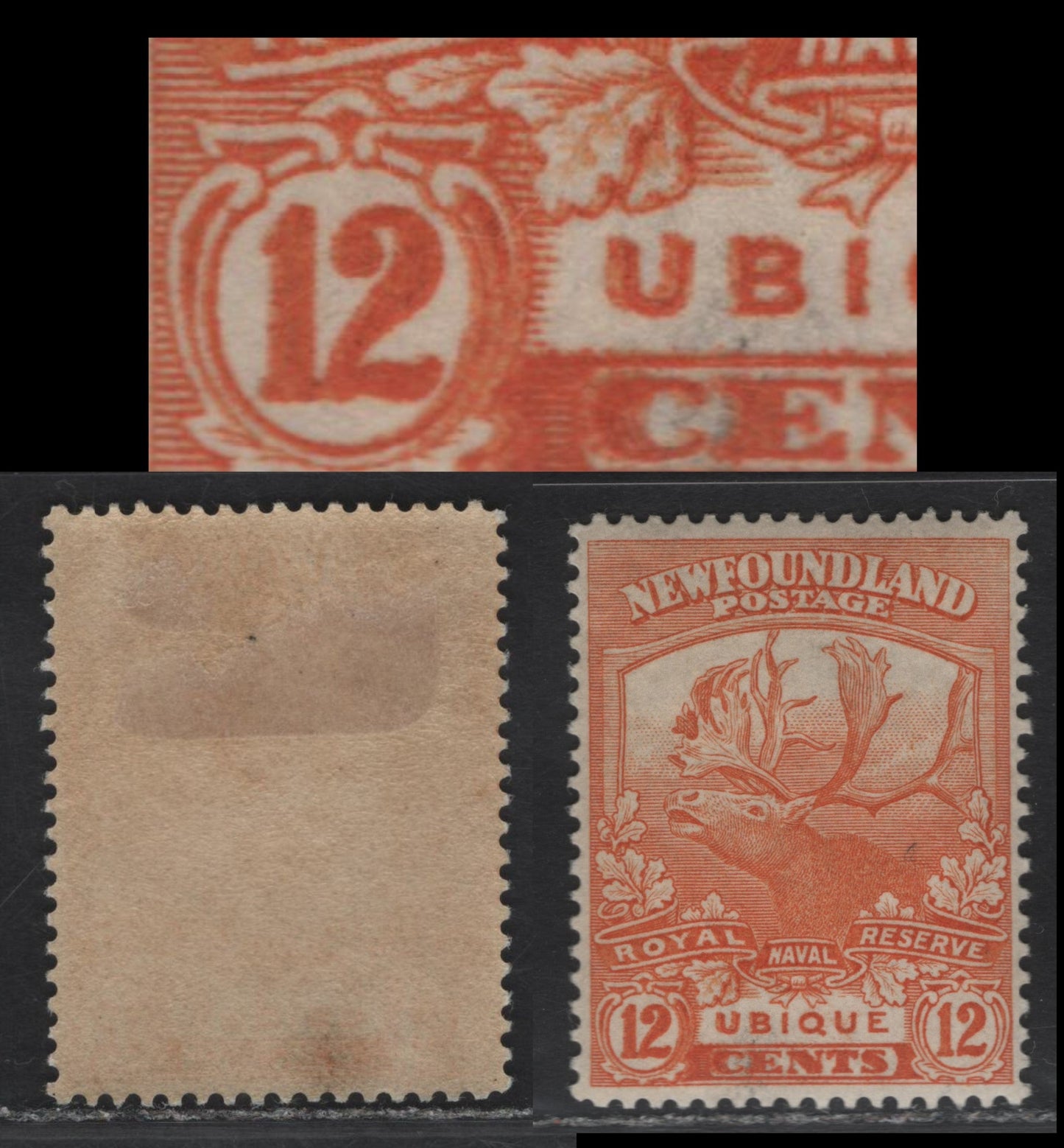 Lot 106 (C) Newfoundland #123var 12c Orange Ubique, 1919 Trail of the Caribou Issue, A VFOG Single, Paper WM-F, Line Perf 14.1x14, Showing Unlisted Partial Double Print, With Left Value Tablet Doubled, UB Of Ublique & C of Cents.