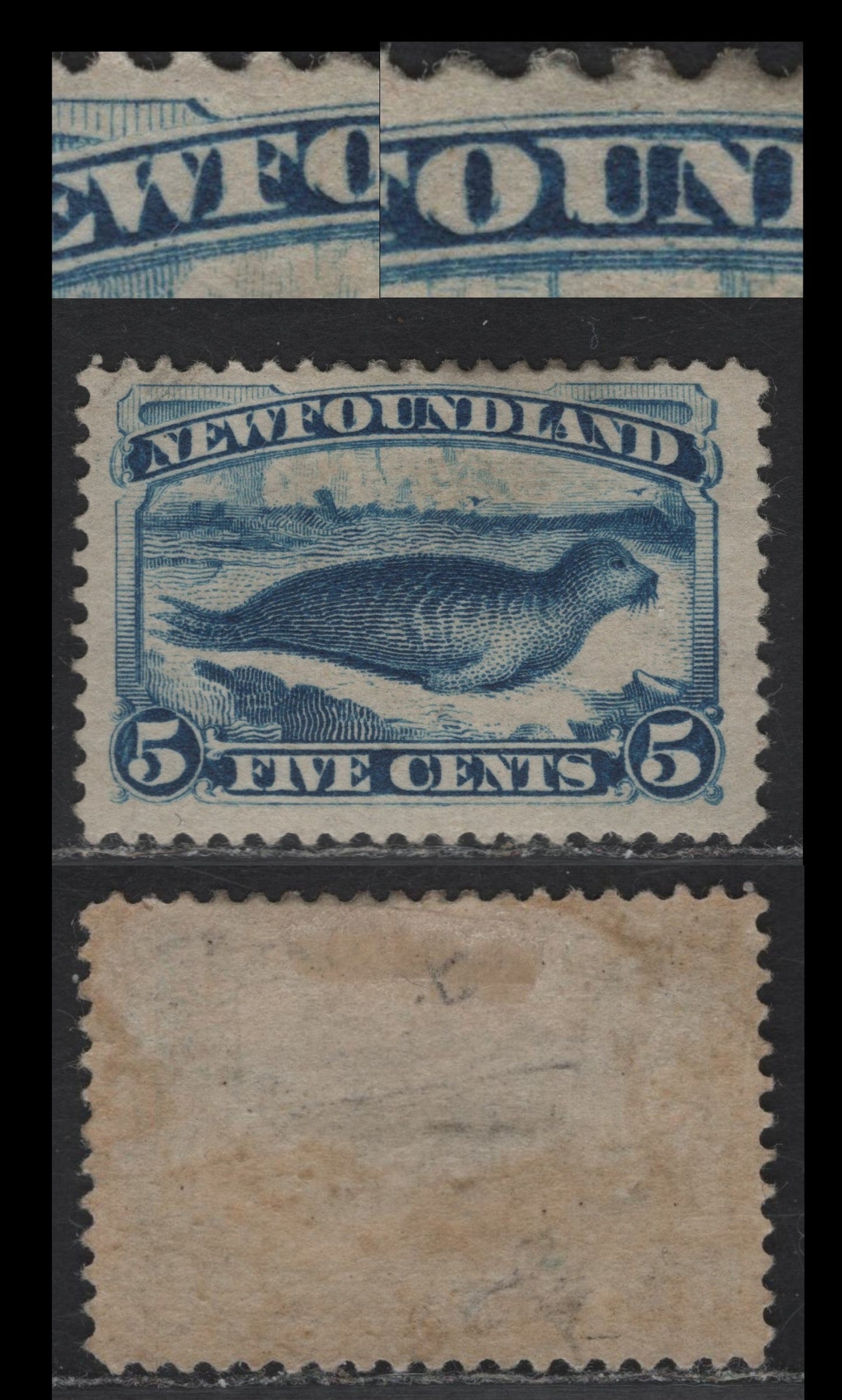 Lot 43 (C) Newfoundland #55i 5c Bright Blue Harp Seal, 1880-1896 4th Cents Issue, A FOG Single, Paper Cents-OO, Perf 12.25, Major Re-Entry In 'WFOUN', Listed But Not Priced In Unitrade.