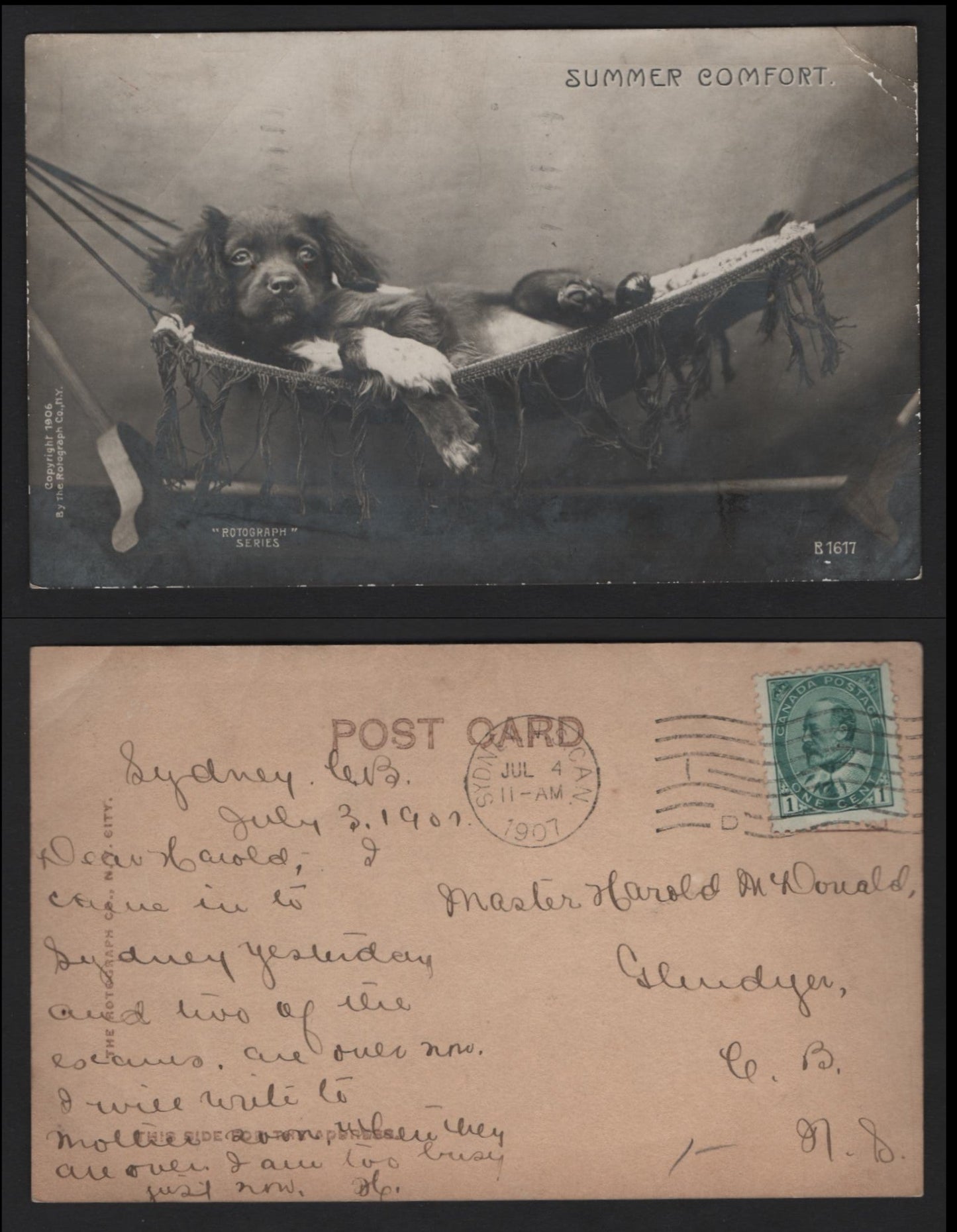Lot 236 Canada #89i 1c Deep Green King Edward VII, 1903-1911 King Edward VII Issue, A Fine Picture Postcard Rotograph Series Depicting A Small Dog & Summer Comfort