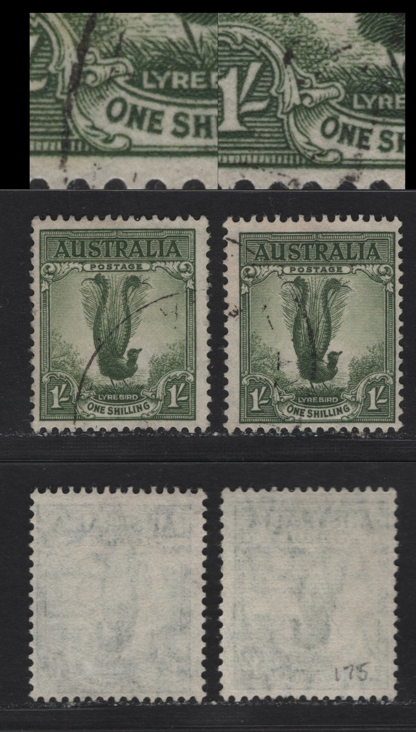 Lot 250 Australia (C) SG#192-a 1/- Gray Green , 1937-1949 Zoological Issue, 2 Fine Used Singles, Perf 15x14, Showing Roller Flaw Over 'o' of One, With Normal For Comparison.