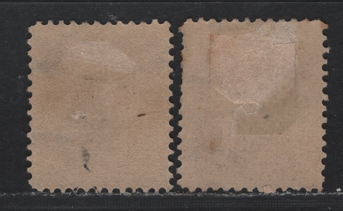 Lot 48 United States SC#307 10c Pale Reddish Brown - Reddish Brown , 1902-1903 2nd Bureau Issue, 2 FOG Singles, Reversed Wmk