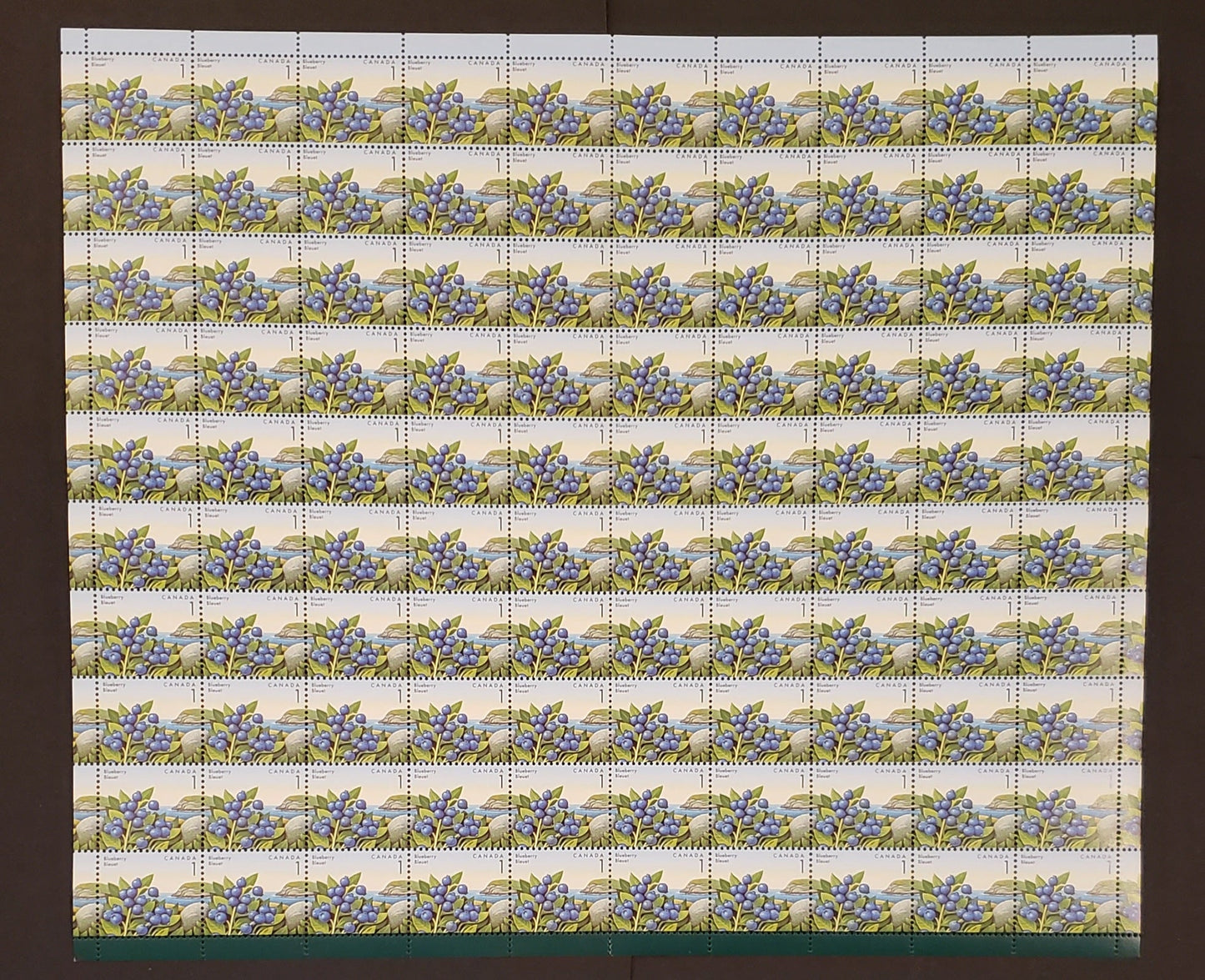 Canada #1349i 1c Multicoloured Blueberries, 1992 Edible Berry Definitives, Field Stock Sheet Stock Sheet Of 100, NF/DF Coated Paper, CBN Printing, VF-75 NH, Folded Down Middle, Unitrade Cat. As Singles $25, Without The Listed Varieties