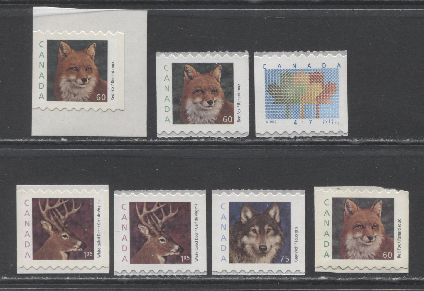 Lot 38 Canada #1878-1881ii 47c-$1.05 Multicolored Maple Leaf - White Tailed Deer, 2000 Medium Value Wildlife Definitives, 7 VFNH Booklet & Coil Singles On LF, DF & NF Papers