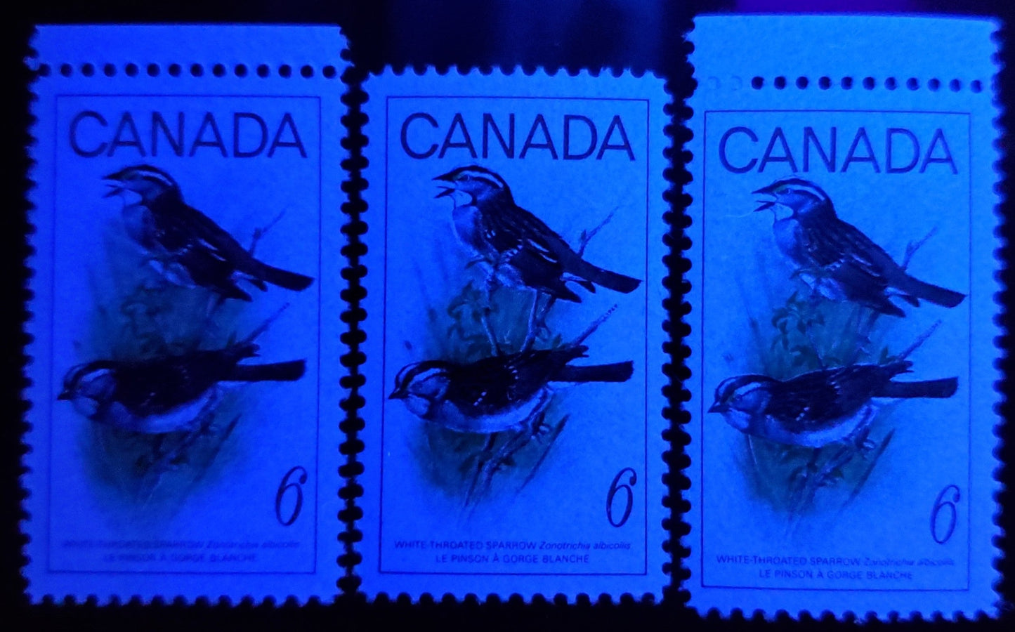 Canada #496 var 6c Multicolured White Throated Sparrow, 1969 Birds Issue, 3 VFNH Singles With Colour Shifts Of Birds & Branches On HB Paper, Fluorescence Level 11