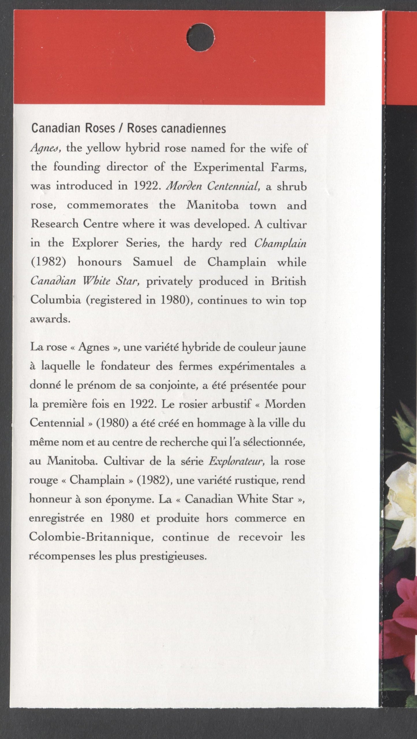 Canada #BK245a-b 2001 Roses Issue, Complete $5.64 Booklet, JAC Paper, Dead Paper, 4 mm GT-4 Tagging