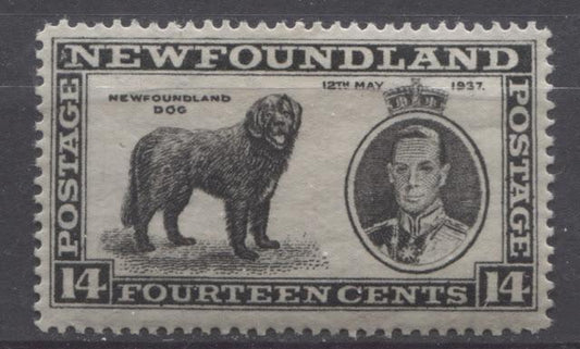 The 1937 Long Coronation Issue of Newfoundland