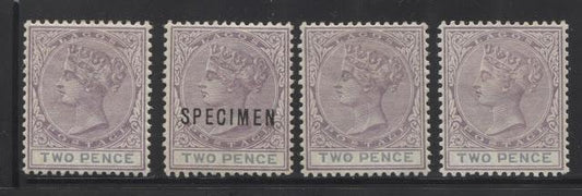 The Printings Of The 2.5d Ultramarine Queen Victoria Keyplate Stamp of Lagos 1891-1904 Part Six and The 2d Lilac and Blue