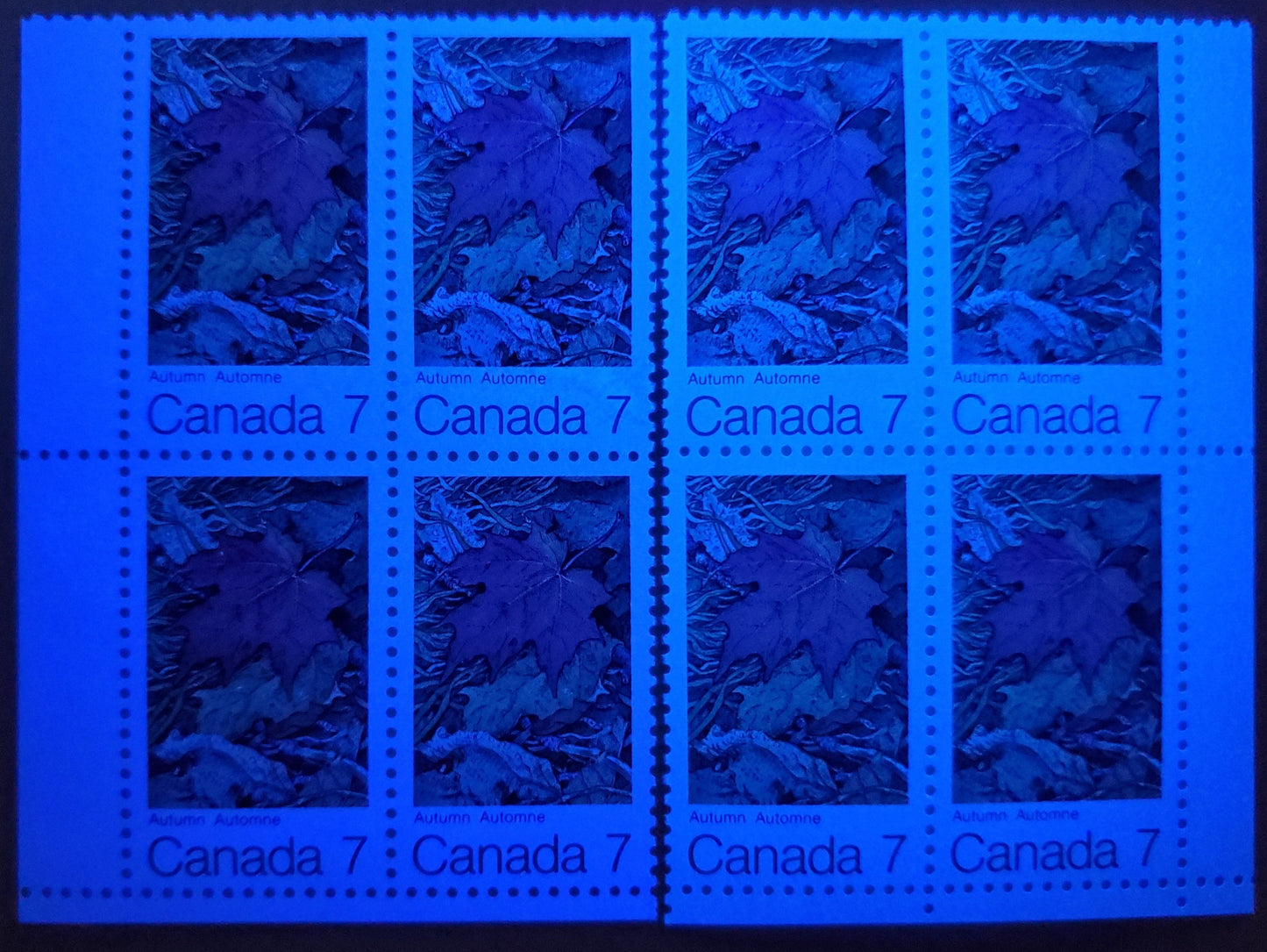 Canada #537ii 6c Multicolored Autumn, 1971 Maple Leaves, A VFNH Single On HB10/HB12 Vertical Wove Paper