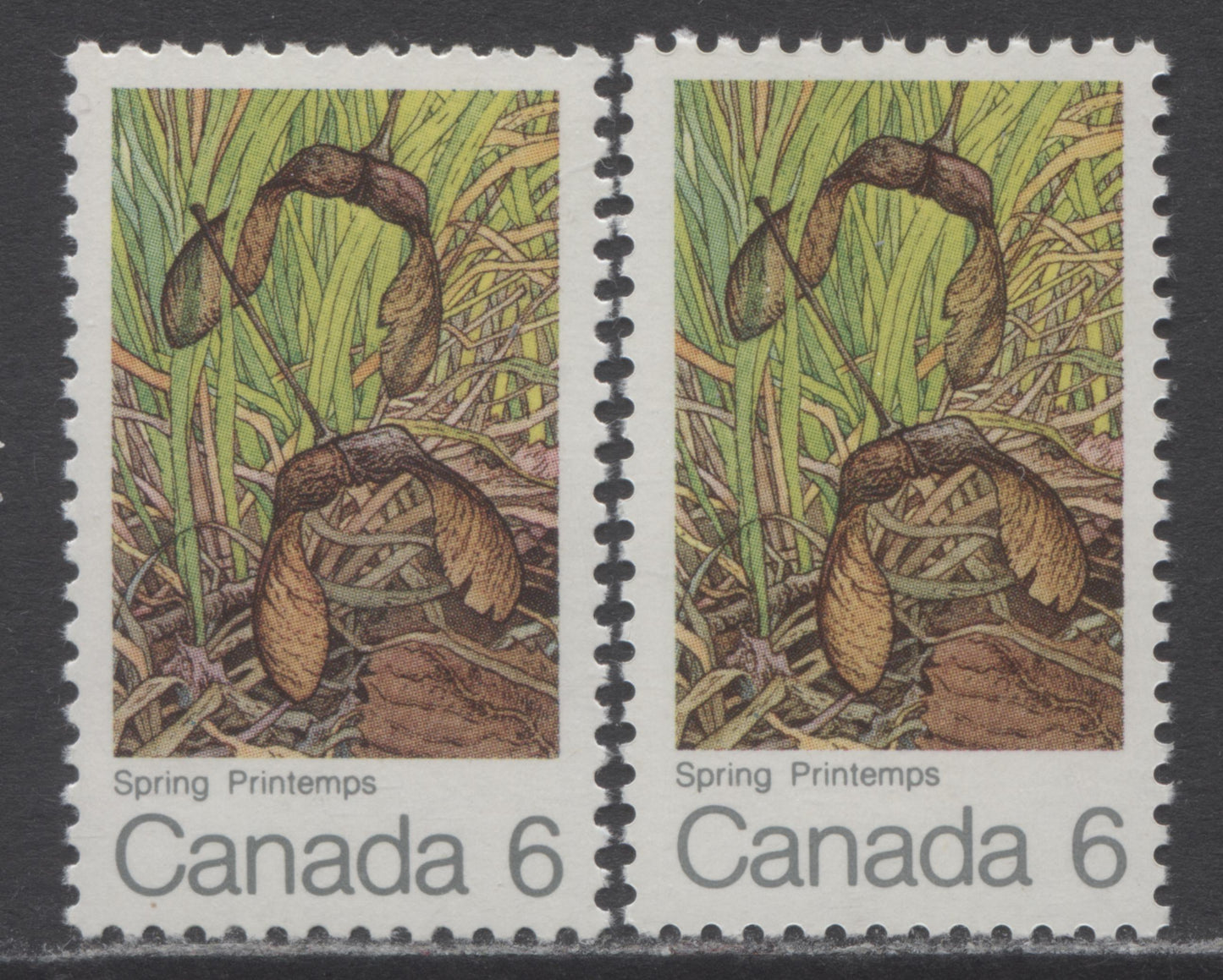 Canada #535i 6c Multicolored Spring, 1971 Maple Leaves, 2 VFNH Singles On HB/HF & HF/HF Horizontal Wove Papers With Green Frog On Leaf Variety