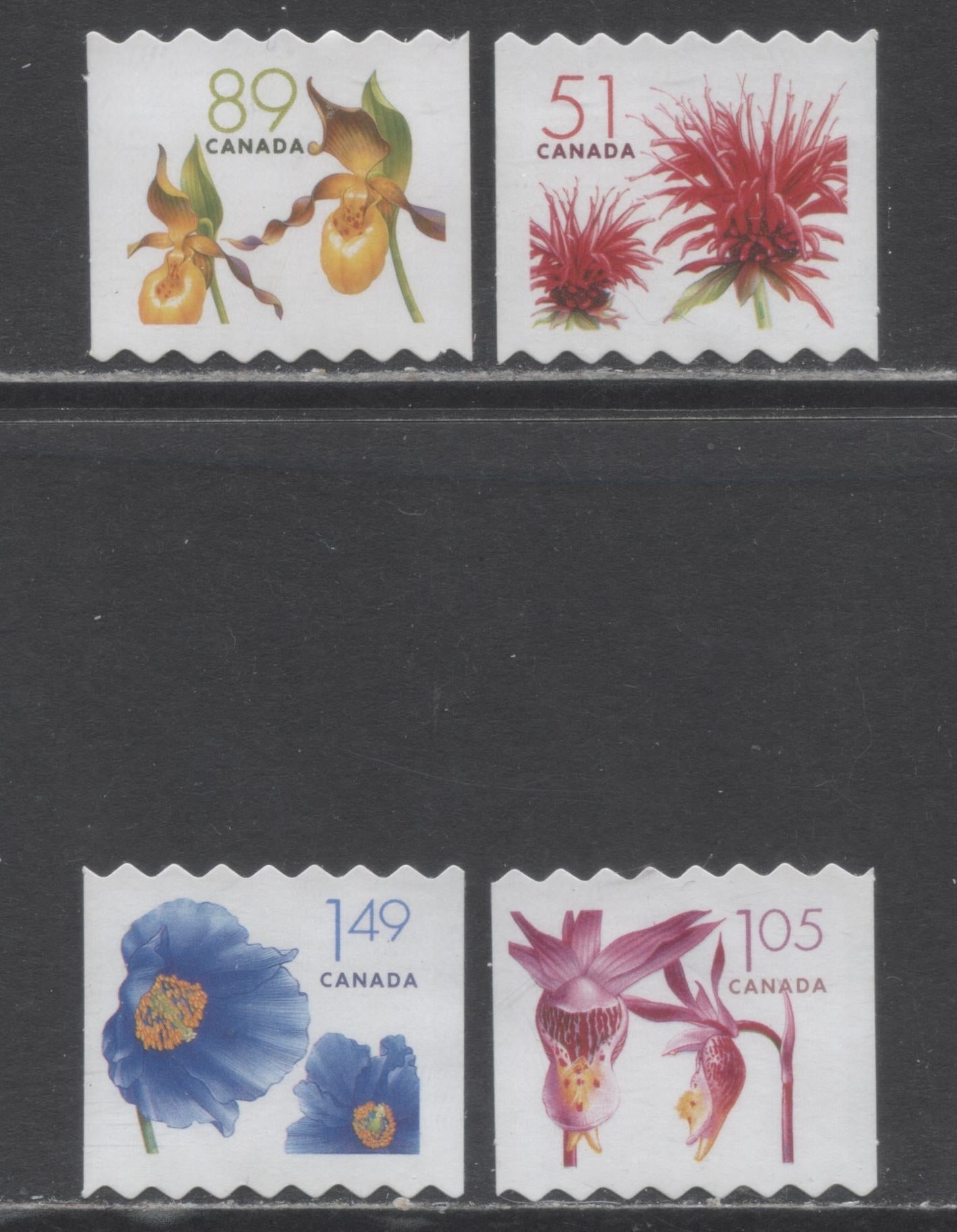 Lot 64 Canada #2128iii-2131iii 51c-$1.49 Multicolored Red Bergamot - Himalayan Blue Poppy, 2005-2006 Flower Definitive Coil Issue, 4 VFNH Coil Singles Die Cut To Shape, Hinged On Backing Paper