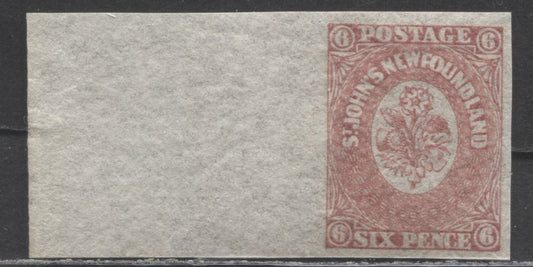 Lot 7 Newfoundland #20 6d Rose, 1861-1862 3rd Issue, A XFNH Single Left Sheet Margin Example