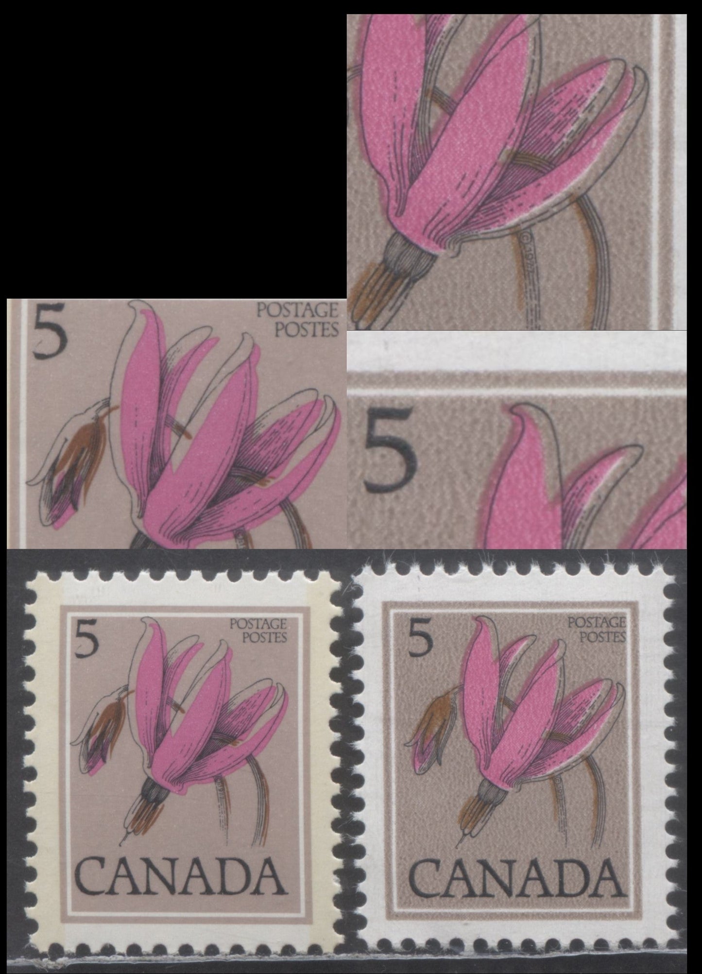 Canada #710var, 785var 5c Multicoloured Shooting Star, 1977-1983 Floral Definitive Issues, Shows Each Printing Method, Showing Shifts Of The Dark Brown Engraving And Flower Colour, As Described