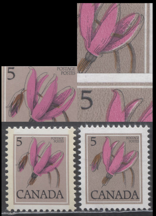 Canada #710var, 785var 5c Multicoloured Shooting Star, 1977-1983 Floral Definitive Issues, Shows Each Printing Method, Showing Shifts Of The Dark Brown Engraving And Flower Colour, As Described