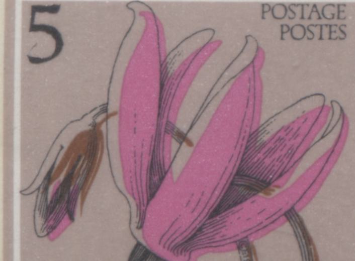 Canada #710var, 785var 5c Multicoloured Shooting Star, 1977-1983 Floral Definitive Issues, Shows Each Printing Method, Showing Shifts Of The Dark Brown Engraving And Flower Colour, As Described
