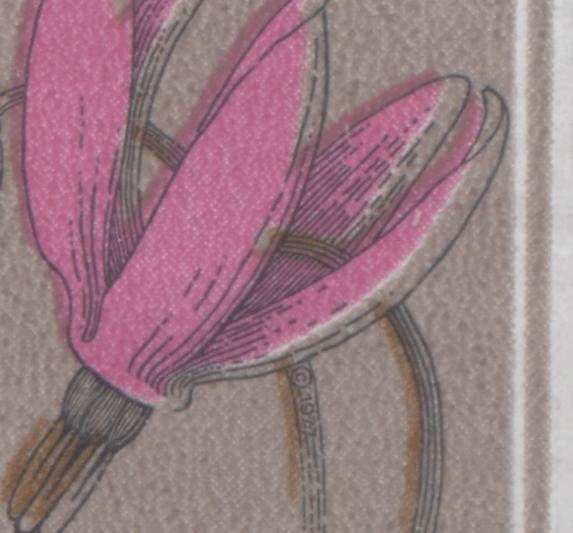 Canada #710var, 785var 5c Multicoloured Shooting Star, 1977-1983 Floral Definitive Issues, Shows Each Printing Method, Showing Shifts Of The Dark Brown Engraving And Flower Colour, As Described