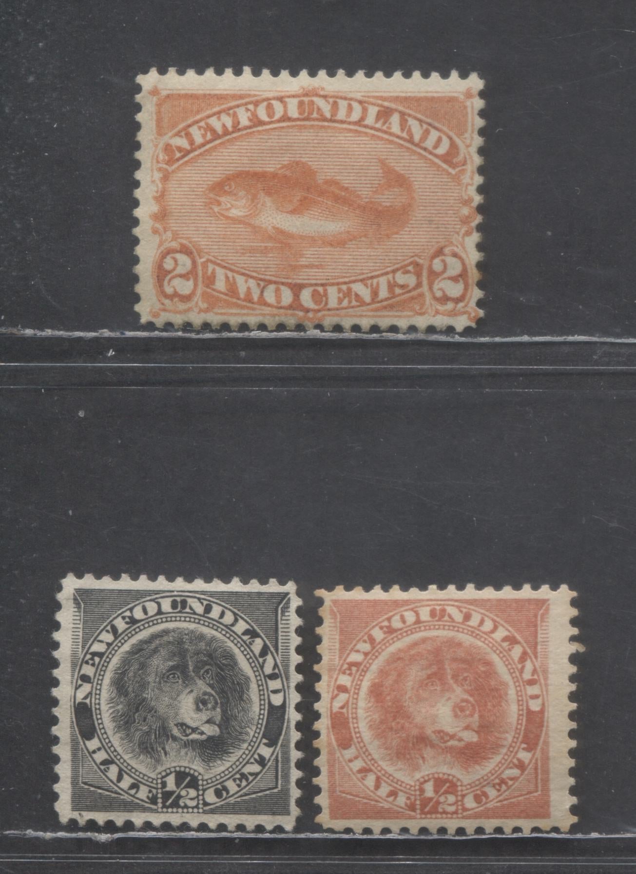 Lot 313 Newfoundland #48, 56, 58 1/2c & 2c Red Orange, Rose Red & Blac ...