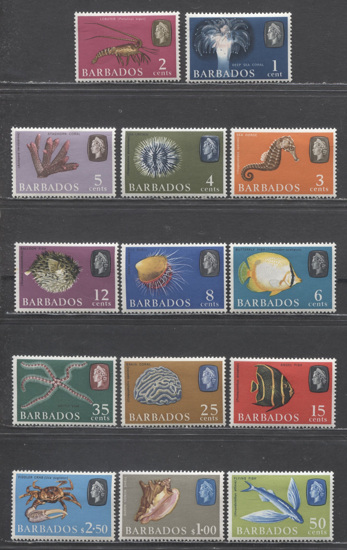 Lot 58 Barbados SC#267-280 1965 Marine Life Definitives, Upright Wmk, 14 VFOG Singles, Click on Listing to See ALL Pictures, Estimated Value $10