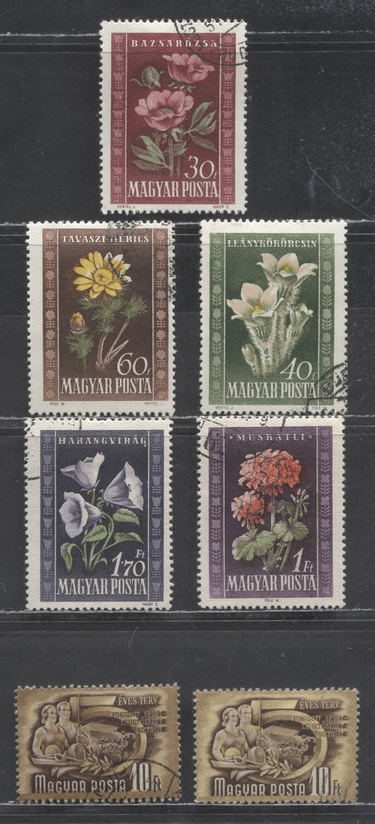 Lot 91 Hungary SC#884/958 1950-1951 Flowers - 5 Year Plan High Values, With Z Wmk, 7 Very Fine Used Singles, Click on Listing to See ALL Pictures, 2022 Scott Cat. $12.4