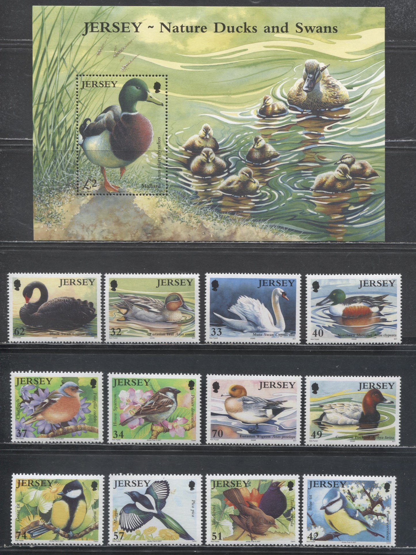 Lot 198 Great Britain - Jersey SC#1116/1264 2004-2007 Waterfoul - Birds Issues, 13 VFNH Singles & Souvenir Sheet, Click on Listing to See ALL Pictures, 2017 Scott Cat. $25.05