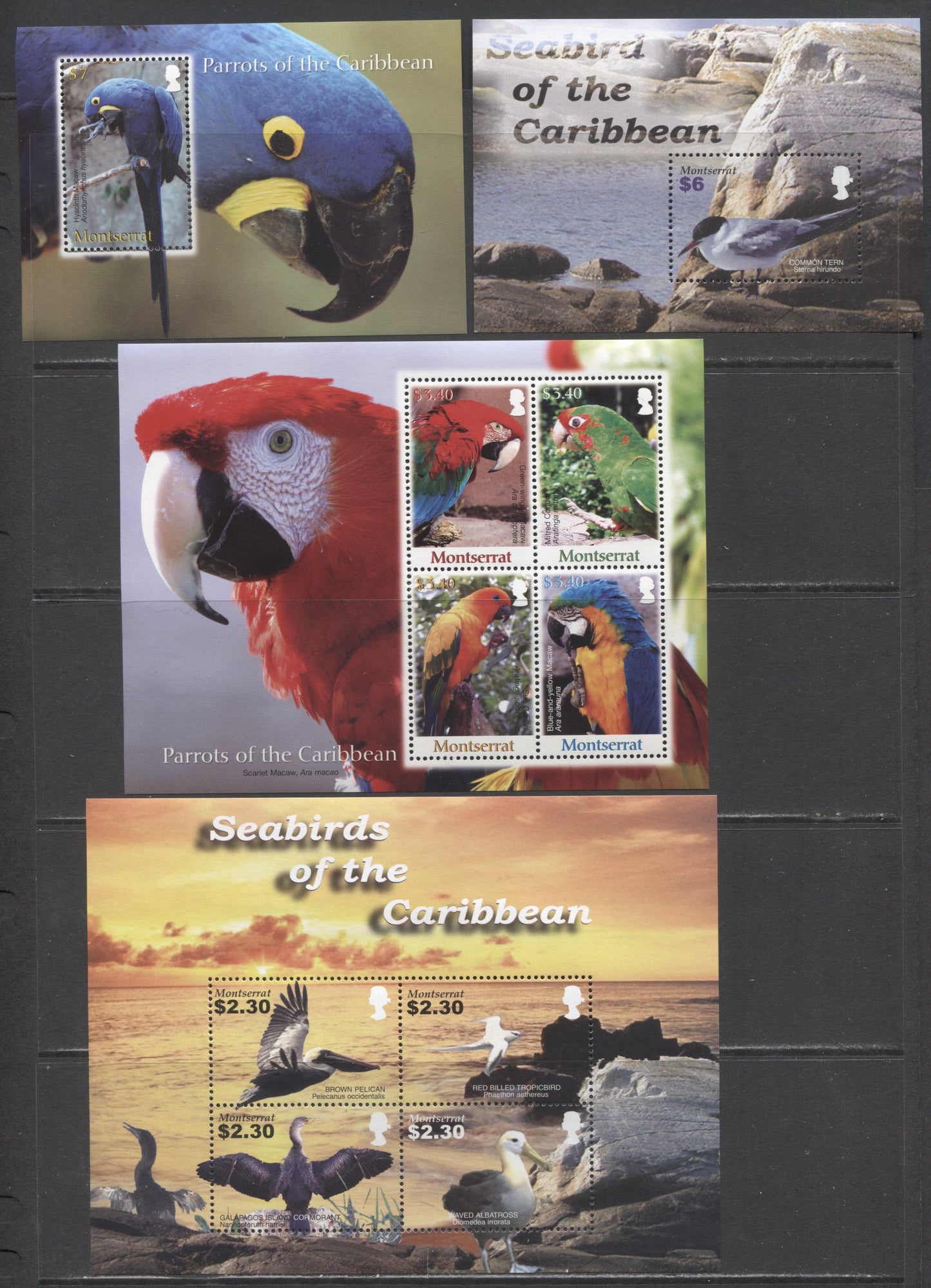 Lot 349 Montserrat SC#1120/1194 2005-2007 Seabirds Of The Carribean - Parrots Of The Carribean Issues, 4 VFNH Souvenir Sheets, Click on Listing to See ALL Pictures, 2017 Scott Cat. $35.75