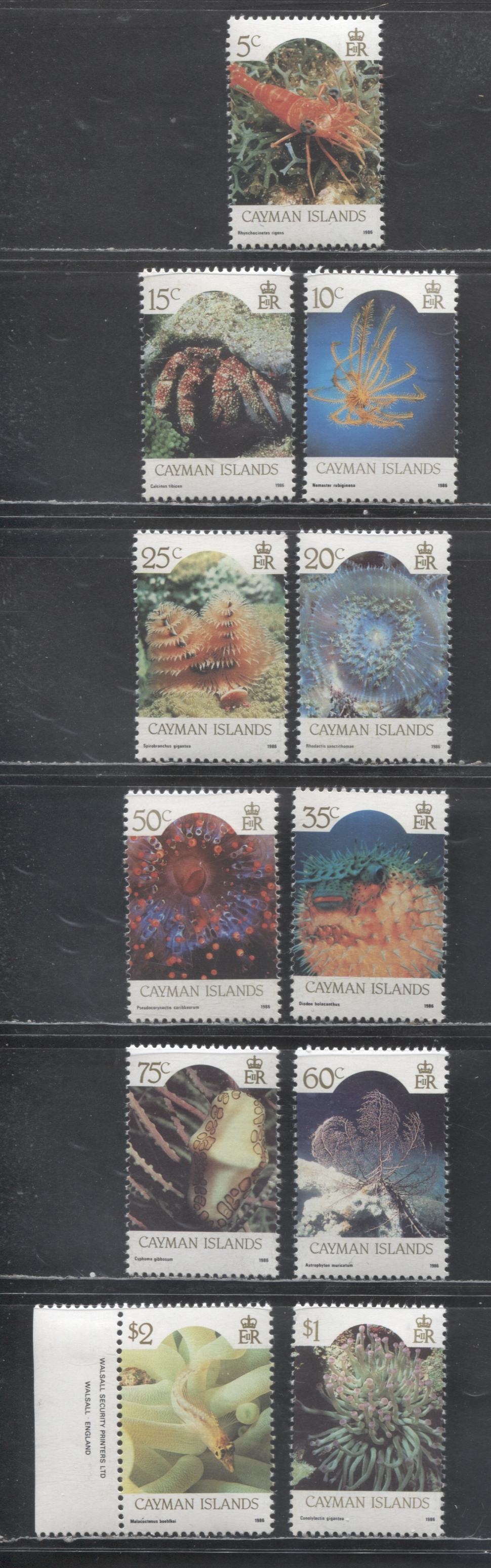 Lot 148 Cayman Islands SC#562-572 1986 Marine Life Definitives, 11 VFOG & NH Singles, Click on Listing to See ALL Pictures, Estimated Value $15