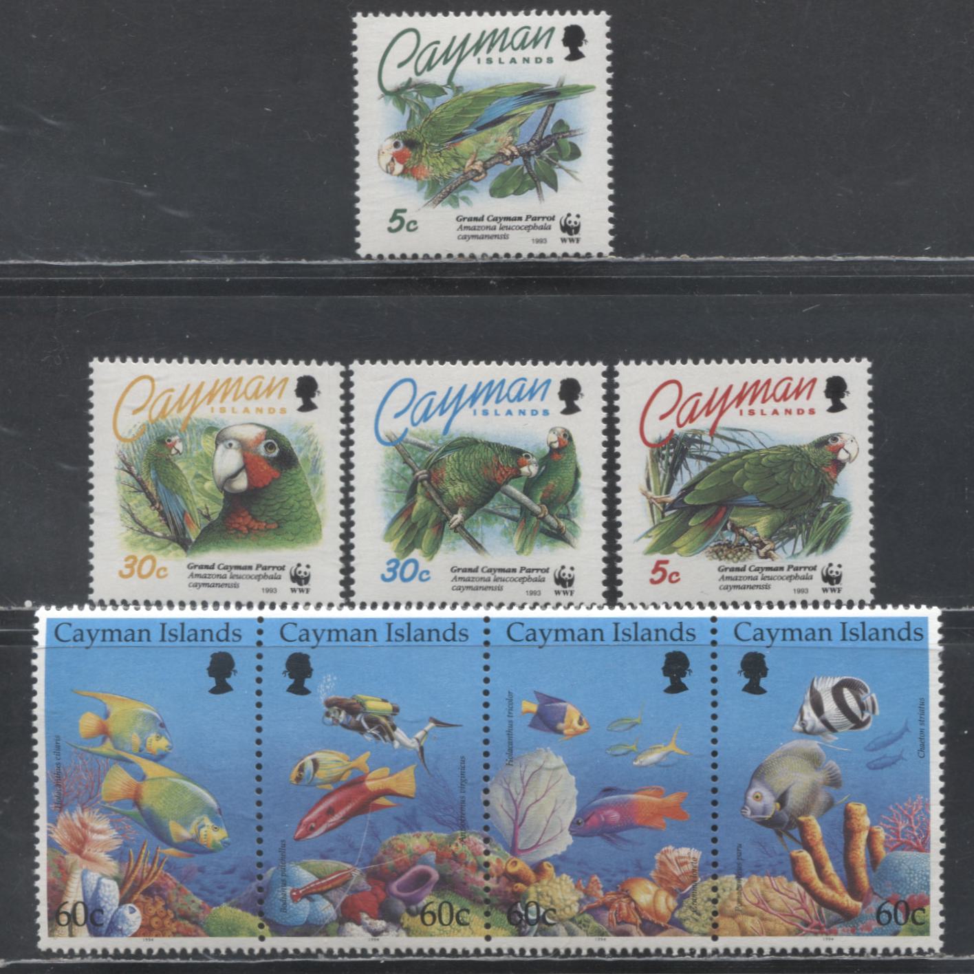 Lot 151 Cayman Islands SC#668/676d 1993-1994 Grand Canyon - Reef Life Issues, 5 VFNH Singles & Strip Of 4, Click on Listing to See ALL Pictures, 2017 Scott Cat. $22