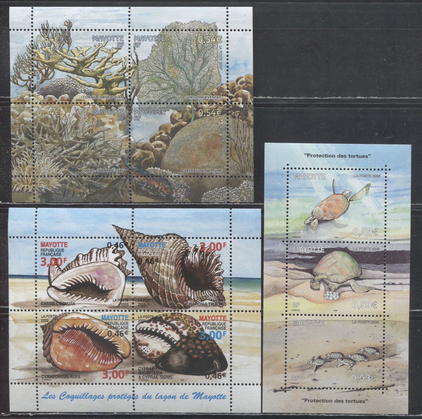 Lot 175 Mayotte (Comoro Islands) SC#140/223 2000-2006 Shells - Turtle Protection Issues, 3 VFNH Souvenir Sheets, Click on Listing to See ALL Pictures, 2017 Scott Cat. $24.5