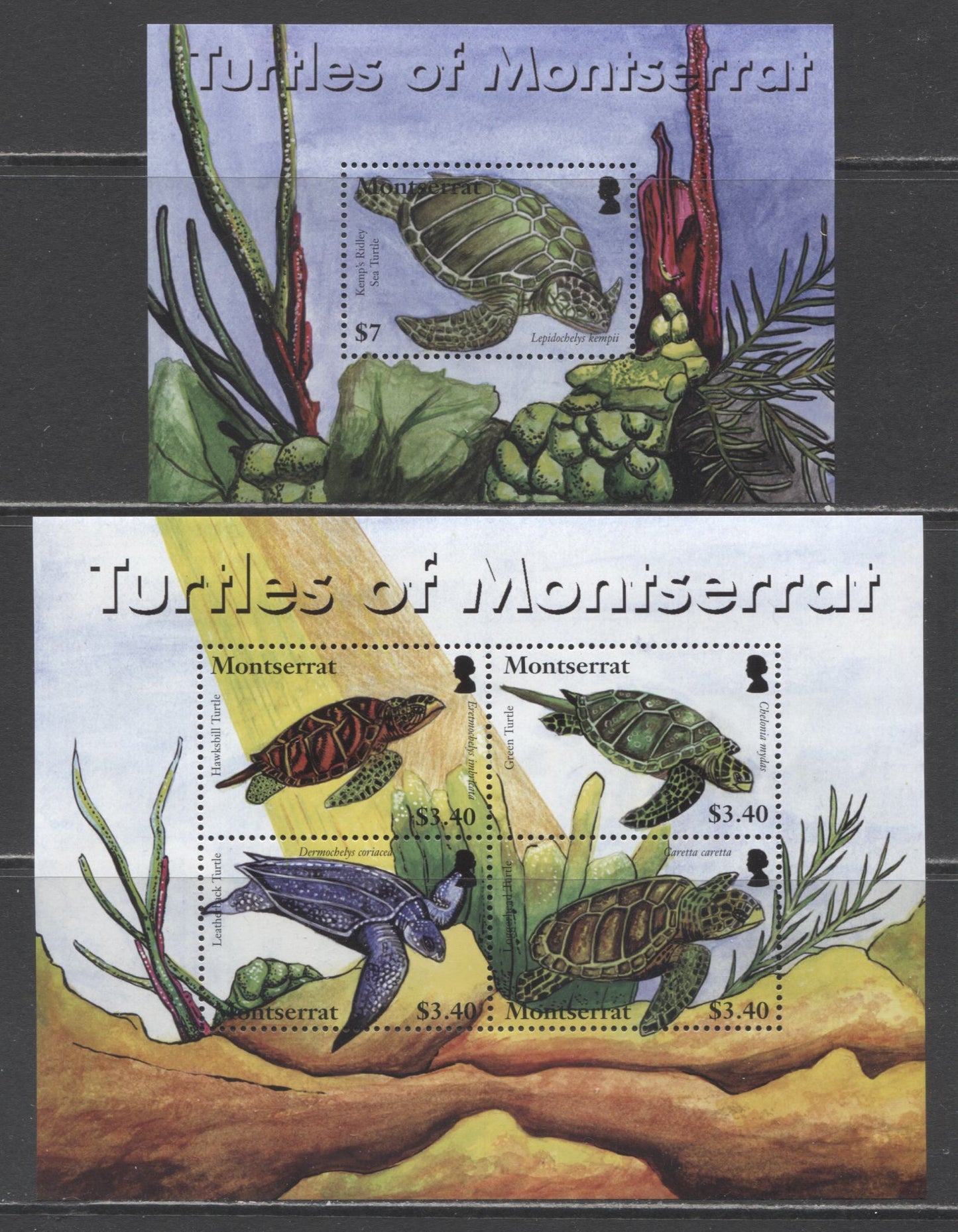 Lot 102A Montserrat SC#1191-1192 2007 Turtles Issue, 2 VFNH Souvenir Sheet & Mini Sheet Of 4, Click on Listing to See ALL Pictures, 2017 Scott Cat. $17.5