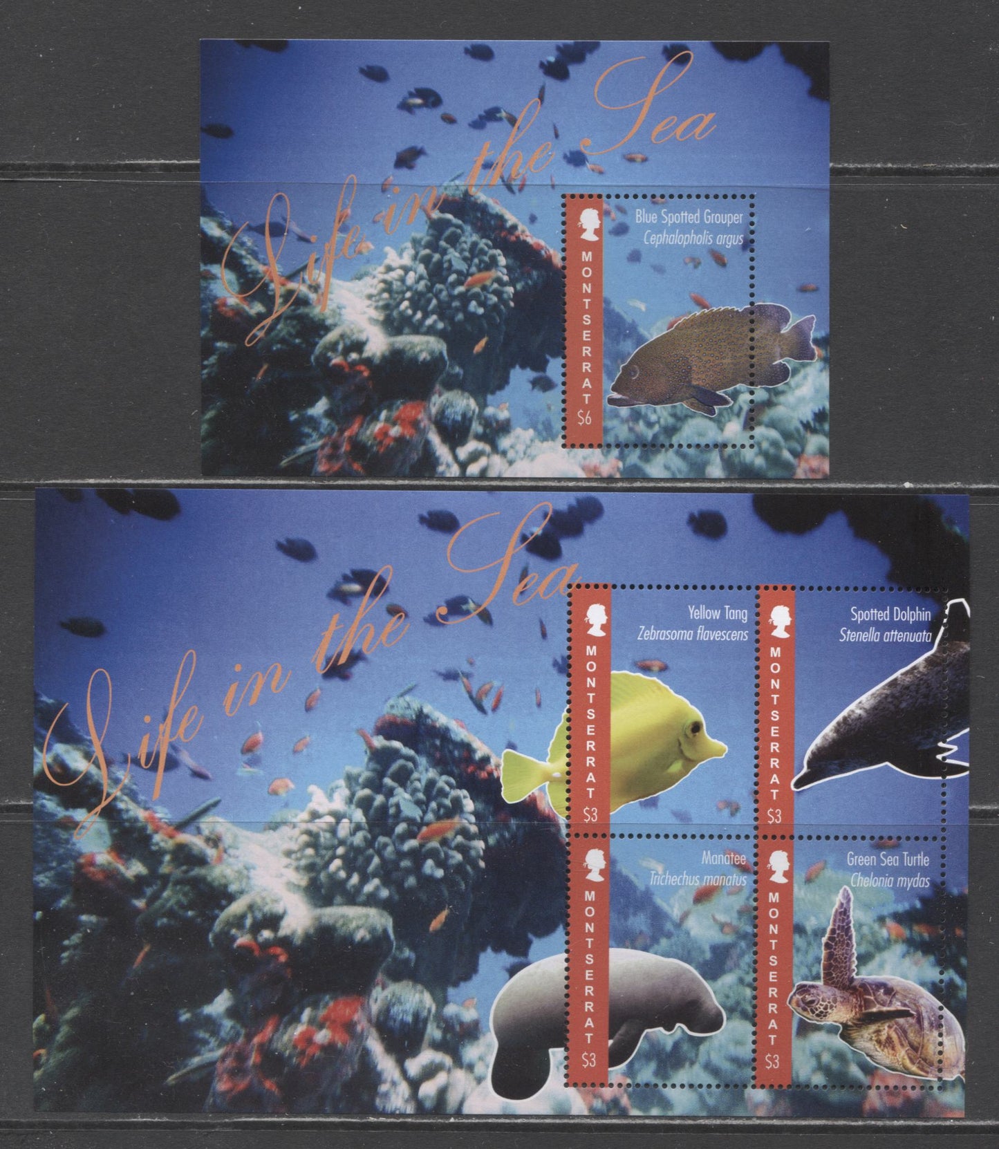 Lot 107 Montserrat SC#1293-1294 2012 Marine Life Issue, 2 VFNH Sheet Of 4 & Souvenir Sheet, Click on Listing to See ALL Pictures, 2017 Scott Cat. $13.8