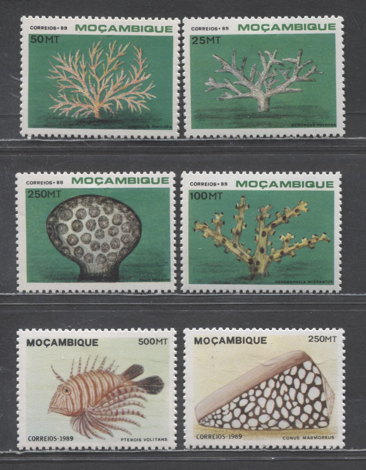 Lot 111 Mozambique SC#1077/1083 1989 Corals & Venomous Species Issues, 6 VFOG Singles, Click on Listing to See ALL Pictures, 2017 Scott Cat. $7.95