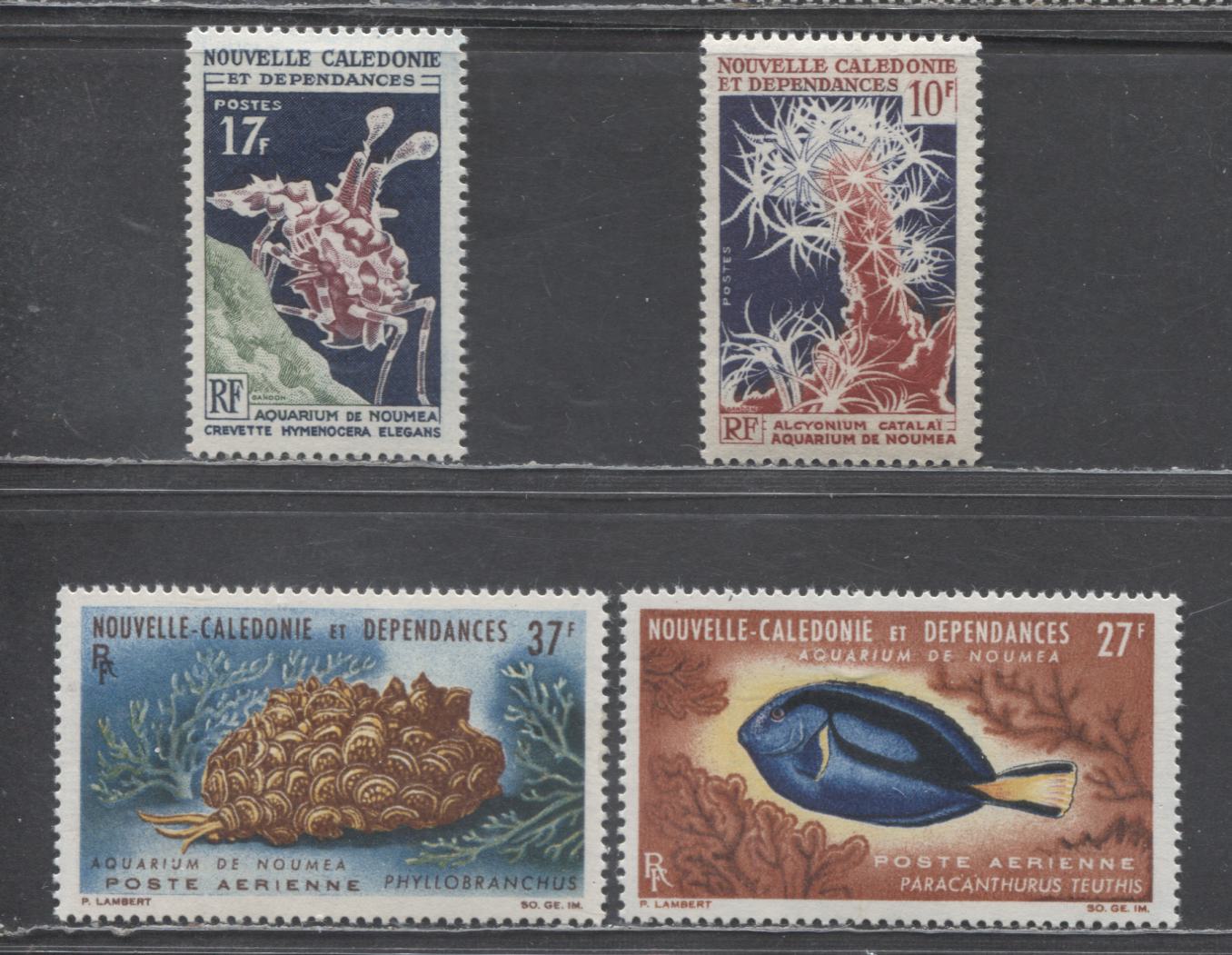 Lot 117 New Caledonia SC#339/C37 1964-1965 Sea Squirts - Airmail Issues, 4 VFNH & OG Singles, Click on Listing to See ALL Pictures, 2017 Scott Cat. $24