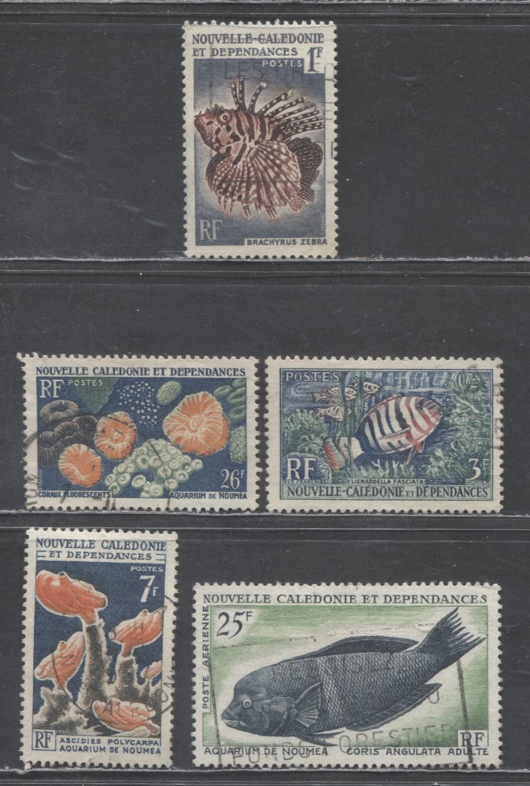 Lot 134 New Caledonia SC#307/C43 1959-1964-1965 Fish/Coral, Airmail & Sea Squirts Issues, 5 Very Fine Used Singles, Click on Listing to See ALL Pictures, 2017 Scott Cat. $10.75