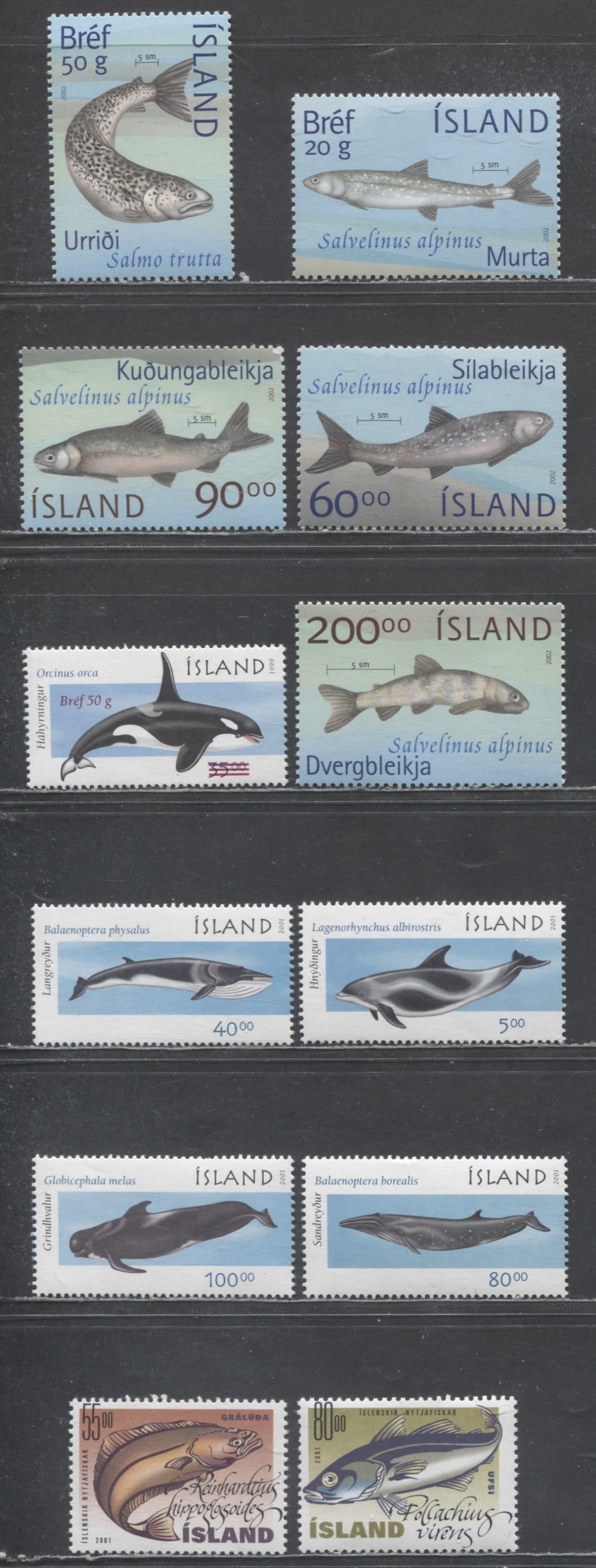 Lot 49 Iceland SC#928/974 2001-2002 Fish - Marine Mammals & Surcharge Issues, 12 VFNH Singles, Click on Listing to See ALL Pictures, 2017 Scott Cat. $27.8