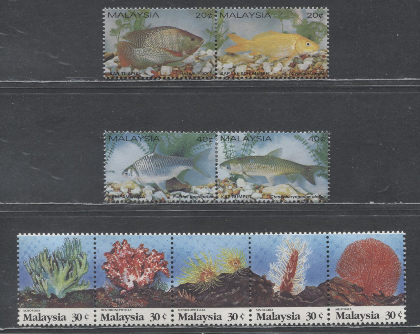 Lot 62 Malaysia SC#257/471 1983-1992 Fish & Coral Issues, 3 VFOG Pairs & Strip Of 5, Click on Listing to See ALL Pictures, 2017 Scott Cat. $17.5