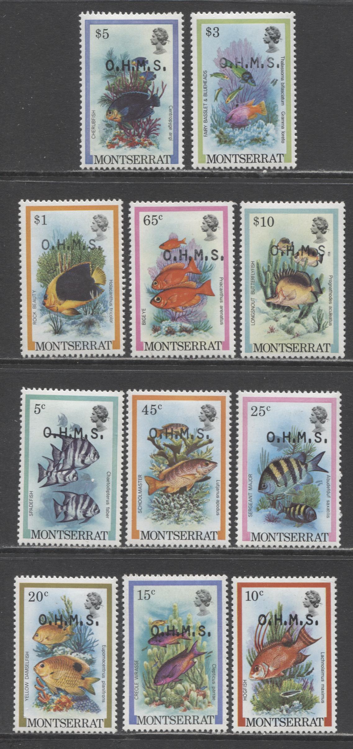 Lot 86 Montserrat SC#O45-O55 1981 Overprinted Fish Issue, 11 VFOG Singles, Click on Listing to See ALL Pictures, 2017 Scott Cat. $16.35