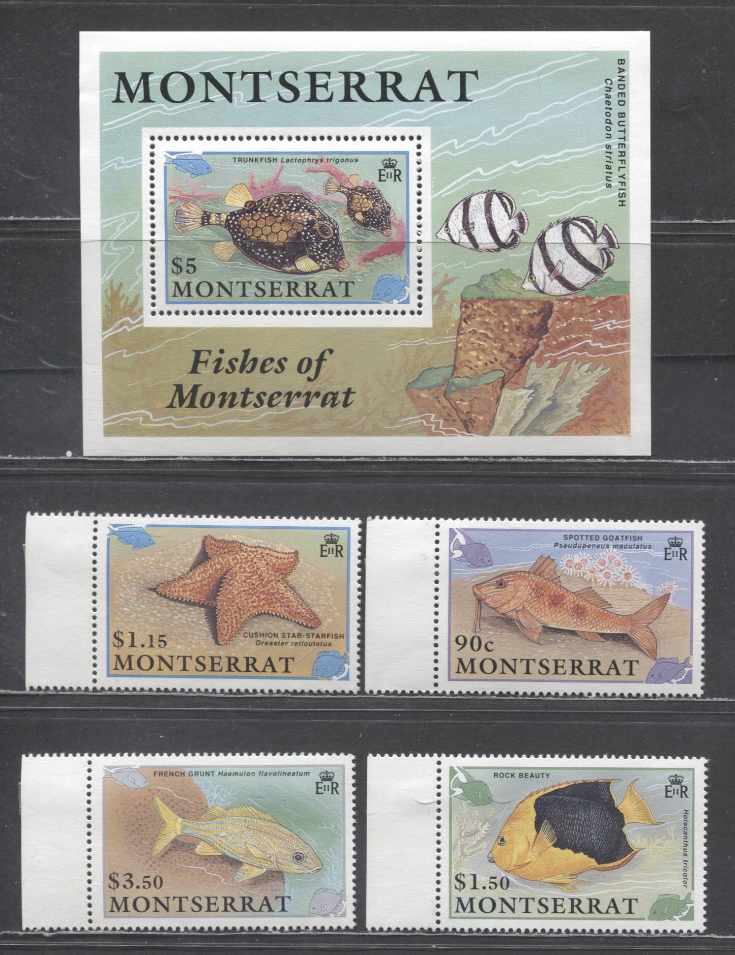 Lot 93 Montserrat SC#758-762 1991 Fish Issue, 5 VFNH & OG Singles & Souvenir Sheet, Click on Listing to See ALL Pictures, 2017 Scott Cat. $27.5