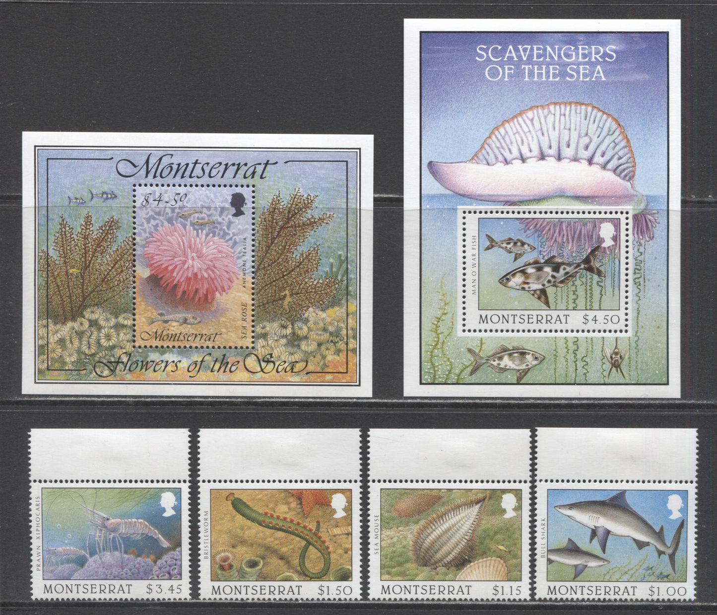 Lot 97 Montserrat SC#859/886 1995-1996 Sea Vegetation - Scavengers Of The Sea Issues, 6 VFNH & OG Singles & Souvenir Sheets, Click on Listing to See ALL Pictures, 2017 Scott Cat. $18.85