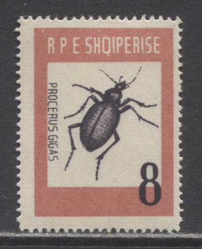 Lot 117 Albania SC#662 8 l Dull Rose & Black Violet 1963 Beetles Issue, A VFOG Single, Click on Listing to See ALL Pictures, 2017 Scott Cat. $7.5