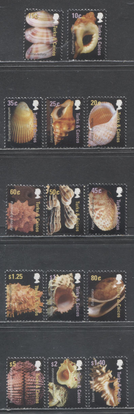 Lot 56 Turks & Caicos SC#1462-1475 2007 Shells Issue, 14 VFNH Singles, Click on Listing to See ALL Pictures, 2017 Scott Cat. $33.8