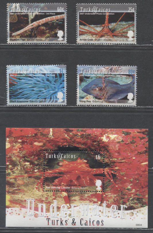Lot 58 Turks & Caicos SC#1492-1496 2008 Marine Life Issue, 5 VFNH Singles & Souvenir Sheet, Click on Listing to See ALL Pictures, 2017 Scott Cat. $17.5