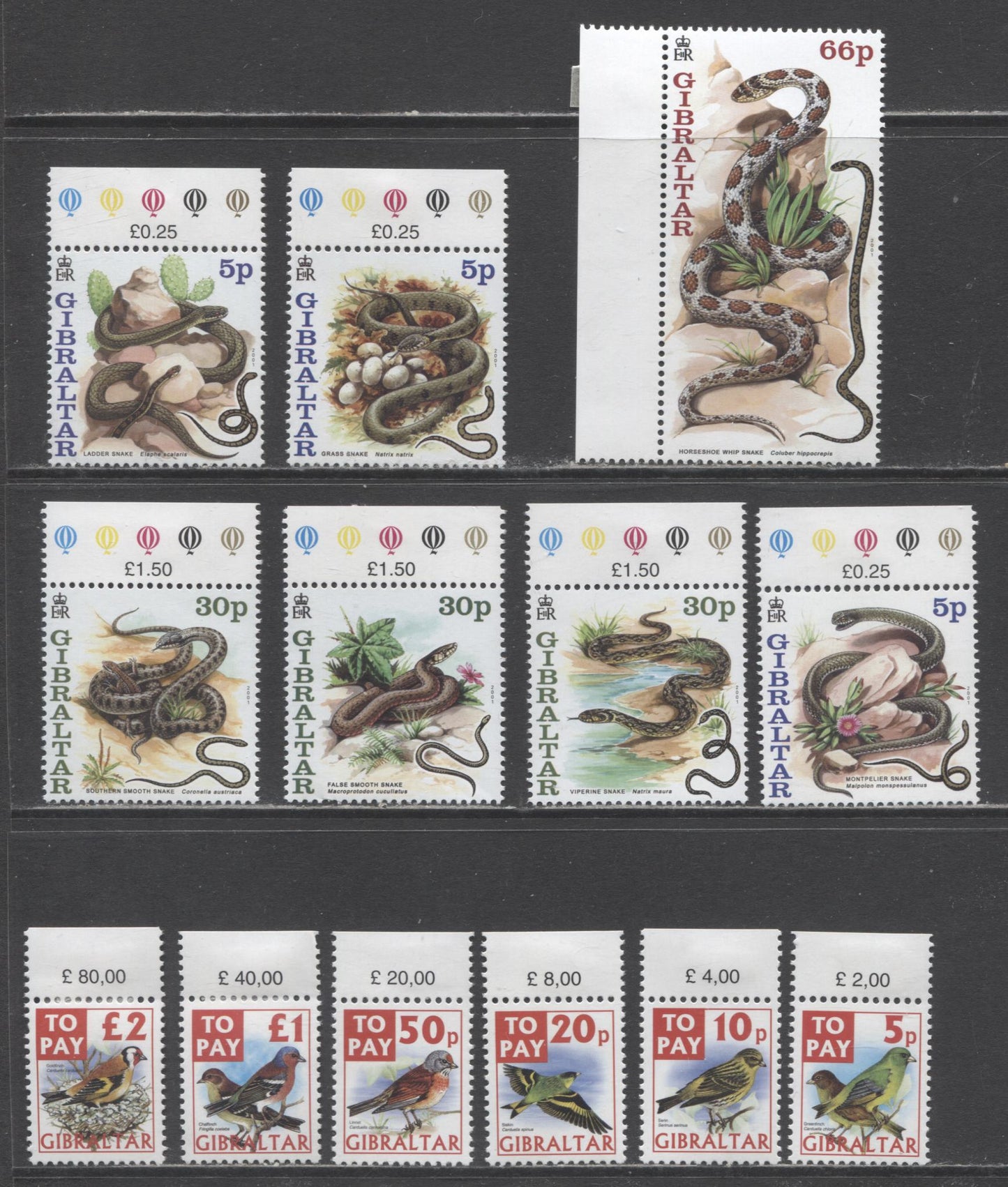 Lot 13 Gibraltar SC#864/J31 2001-2002 New Years Snakes - Finches Postage Dues, 13 VFNH Singles, Click on Listing to See ALL Pictures, 2017 Scott Cat. $21