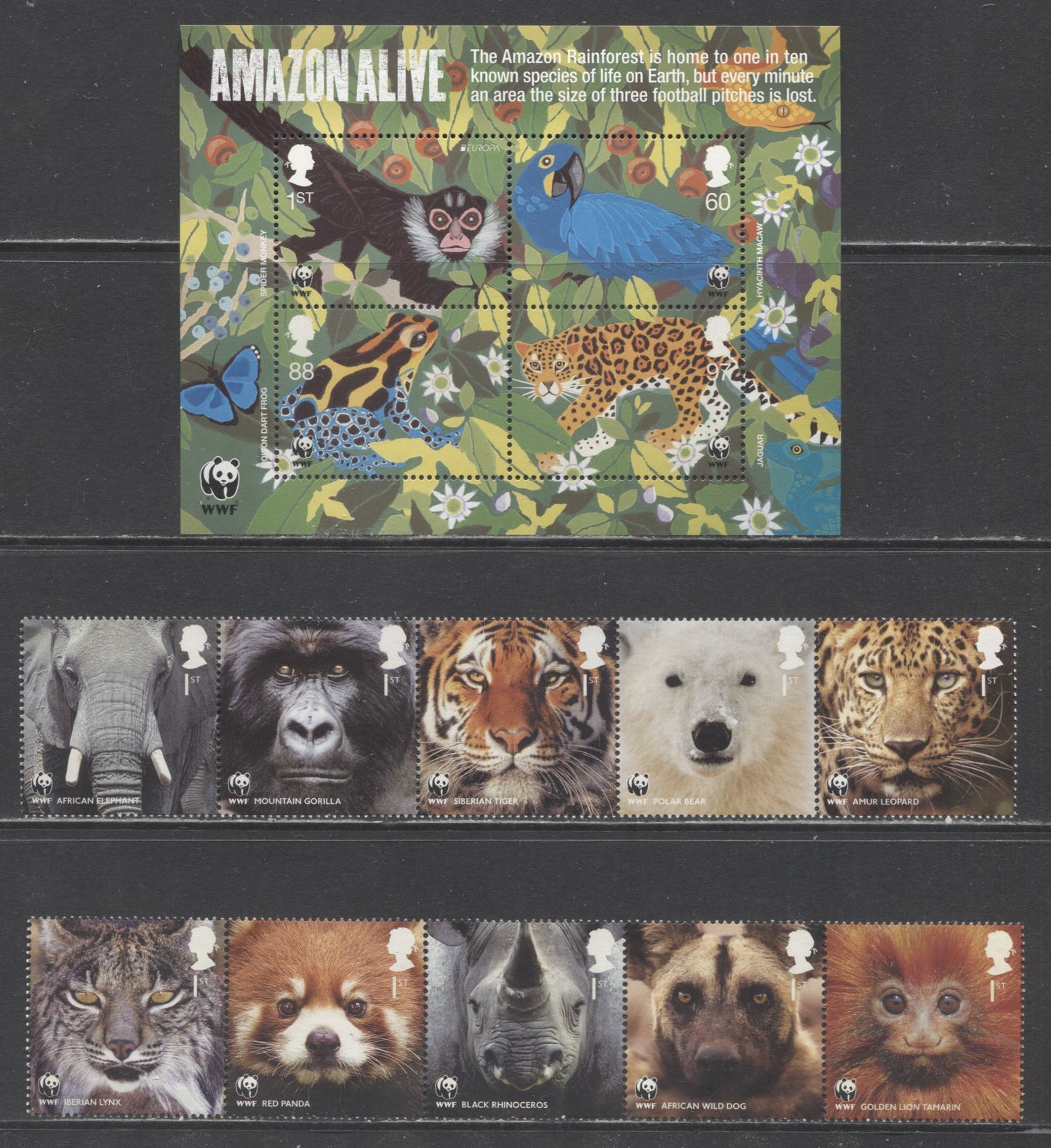 Lot 25 Great Britain SC#2887a-2863 2011 WWF 50th Anniversary & Amazon Alive Issues, 3 VFNH Strips Of 5 & Souvenir Sheet, Click on Listing to See ALL Pictures, 2017 Scott Cat. $30.5